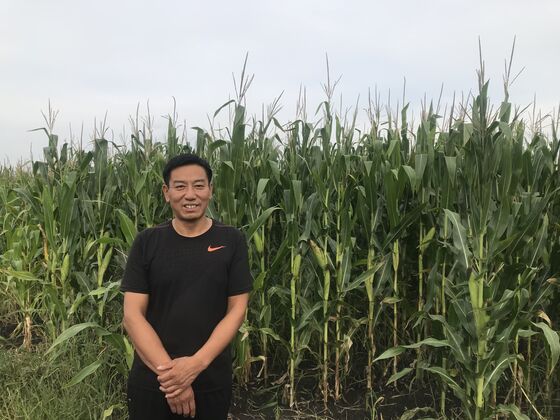 China Set to Be Top World Corn Buyer on Crop Woes and Demand