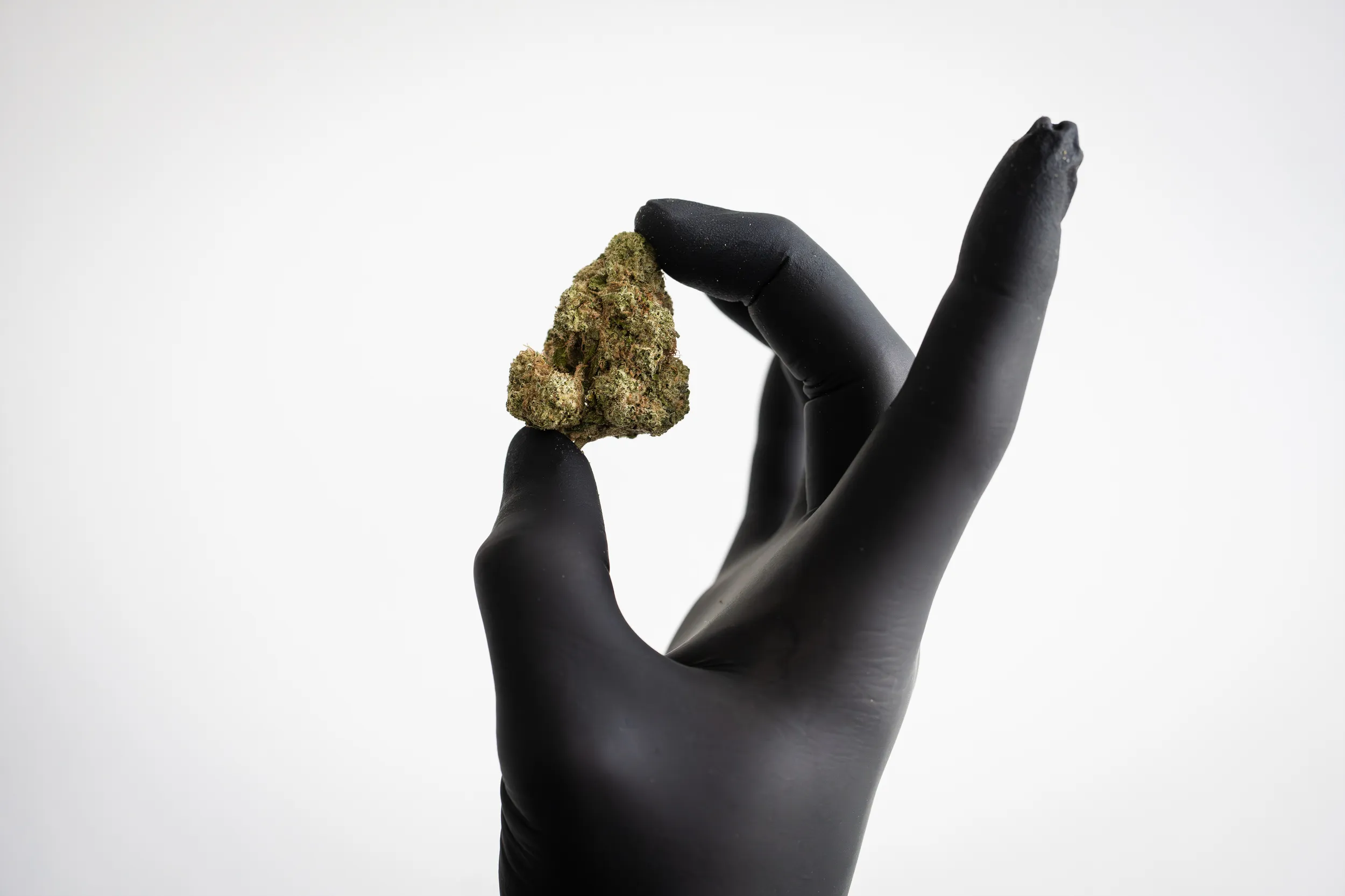 Cannabis-Onlineapotheken boomen - die Politik hechelt bei Regulierung hinterher - Bloomberg Cannabis-Onlineapotheken boomen - die Politik hechelt bei Regulierung hinterher - Bloomberg