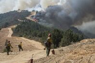 Firefighters Battle The Dolan Fire On California's Big Sur Coastline