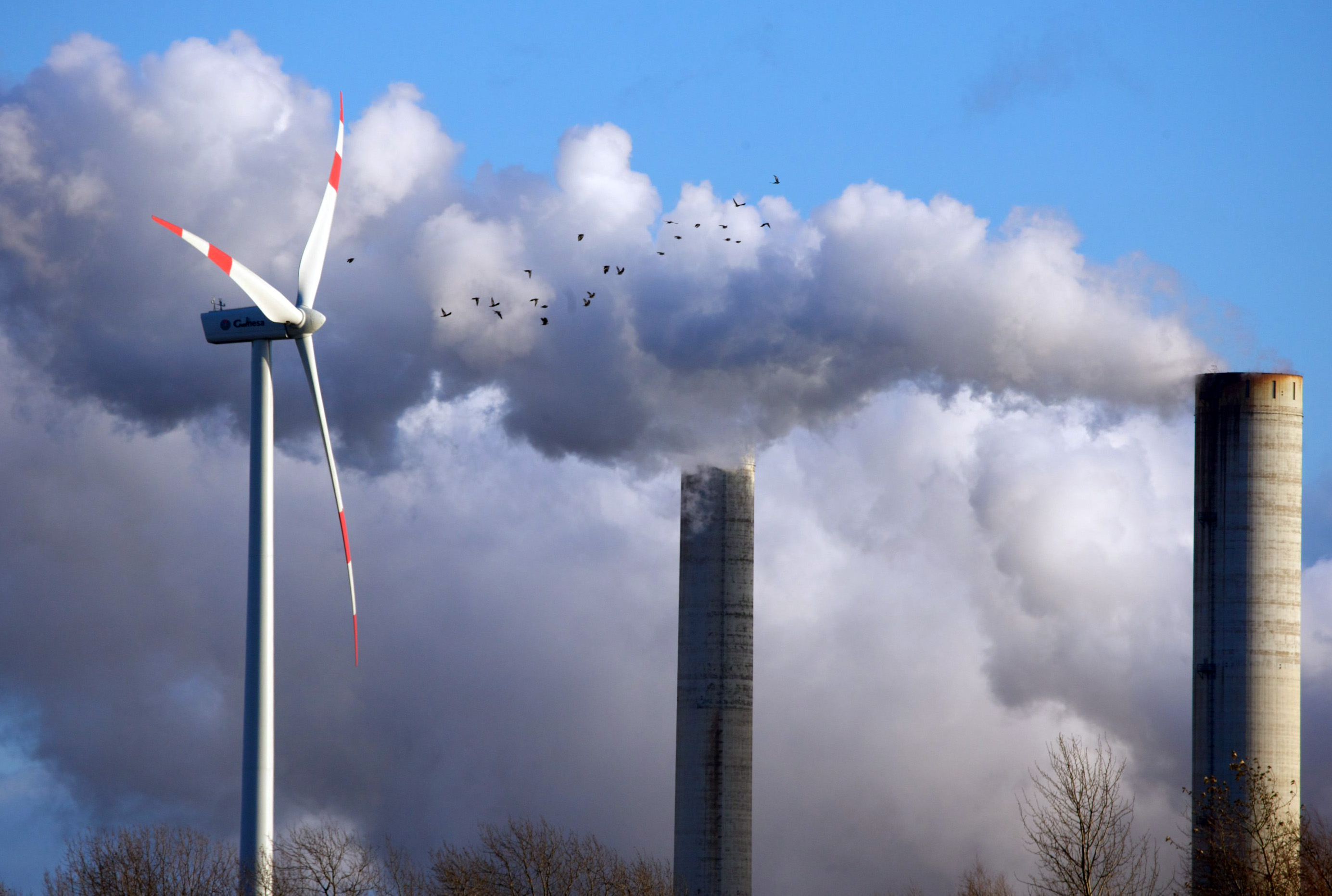 The Green Deal will require tougher emissions-reduction across the European economy.