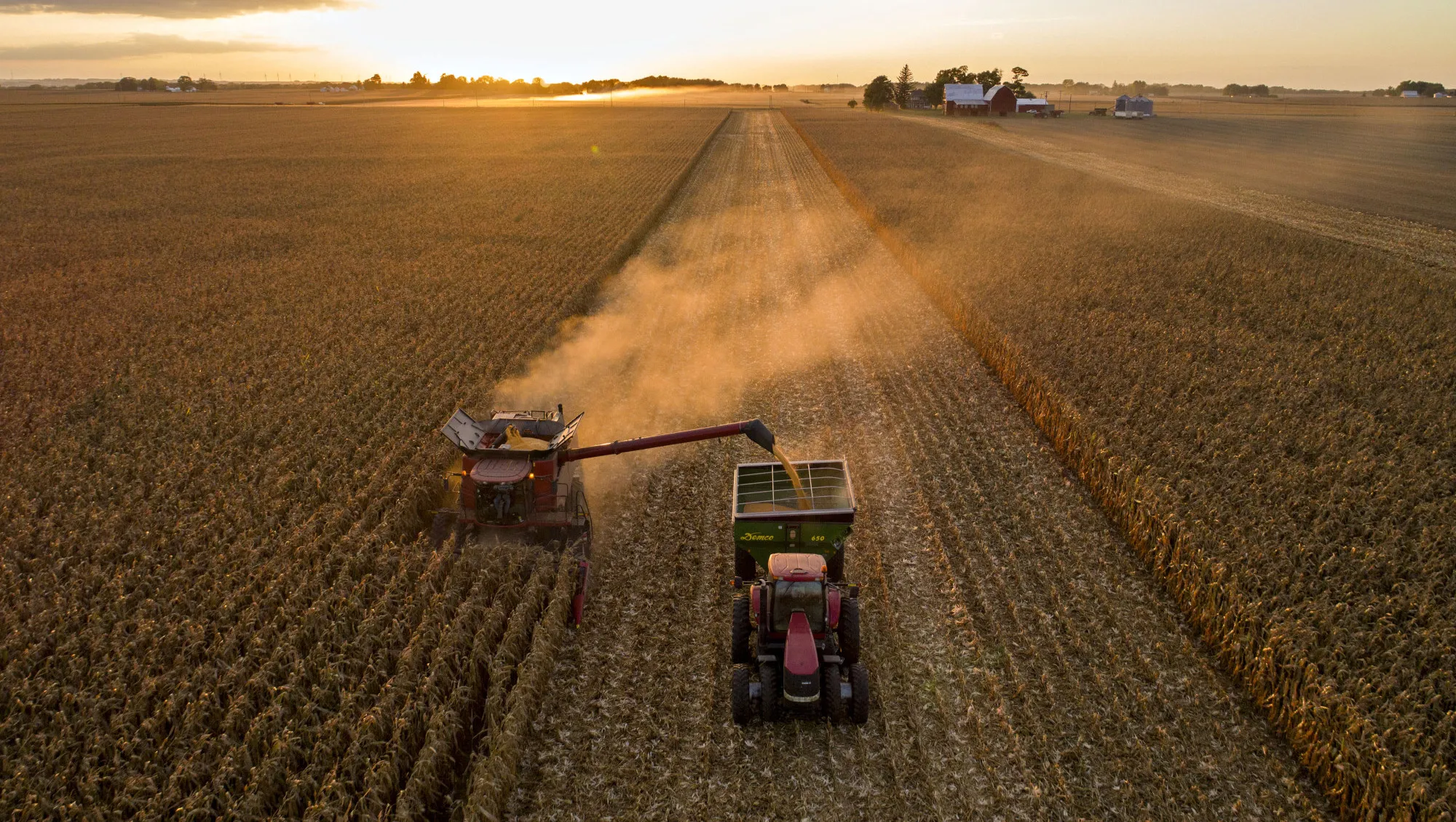 Corn is harvested in Princeton, Illinois.