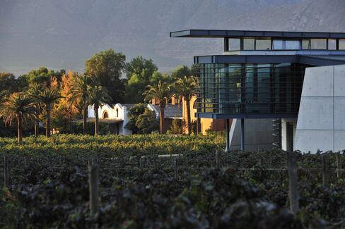 Errazuriz vineyard and winery, Chile.