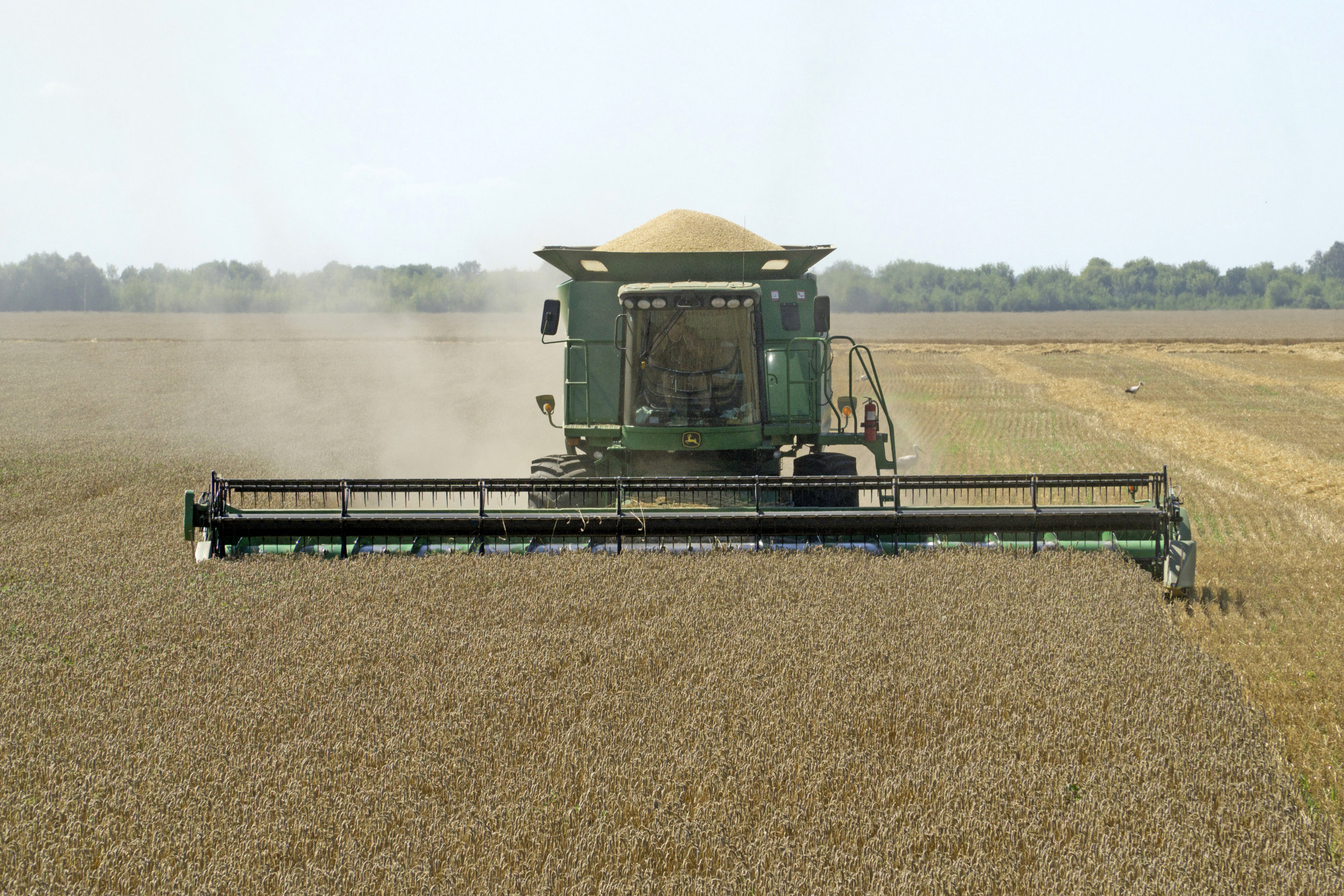 Ukraine Wheat Harvest As Export Estimate Raised For 2017-18 Season