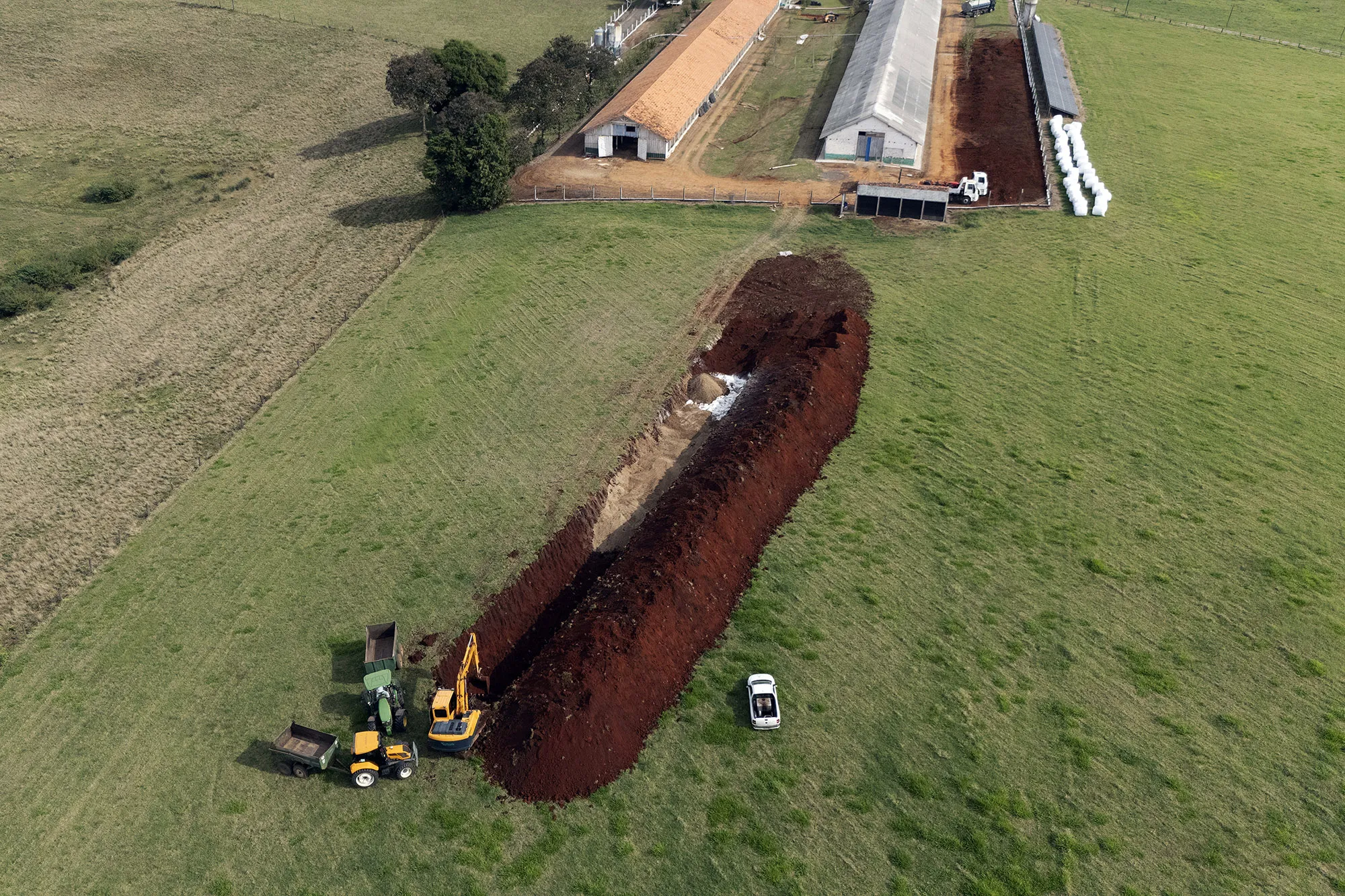 World Crazy for Chicken Is Losing Its Biggest Supplier - Bloomberg