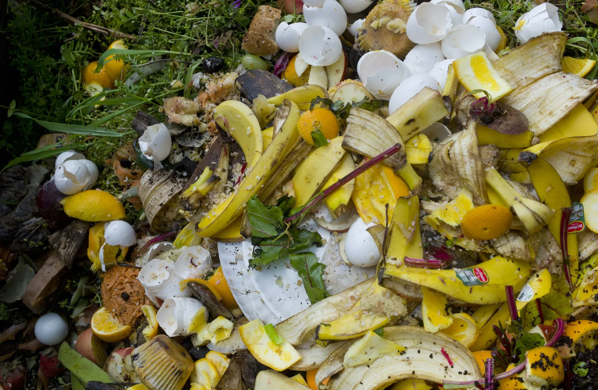 Remember to compost.