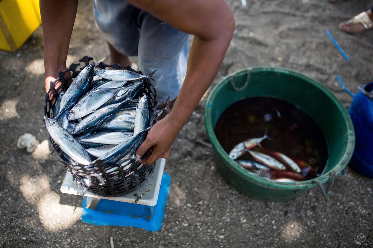 Philippines Protests China’s Fishing Ban in South China Sea - Bloomberg