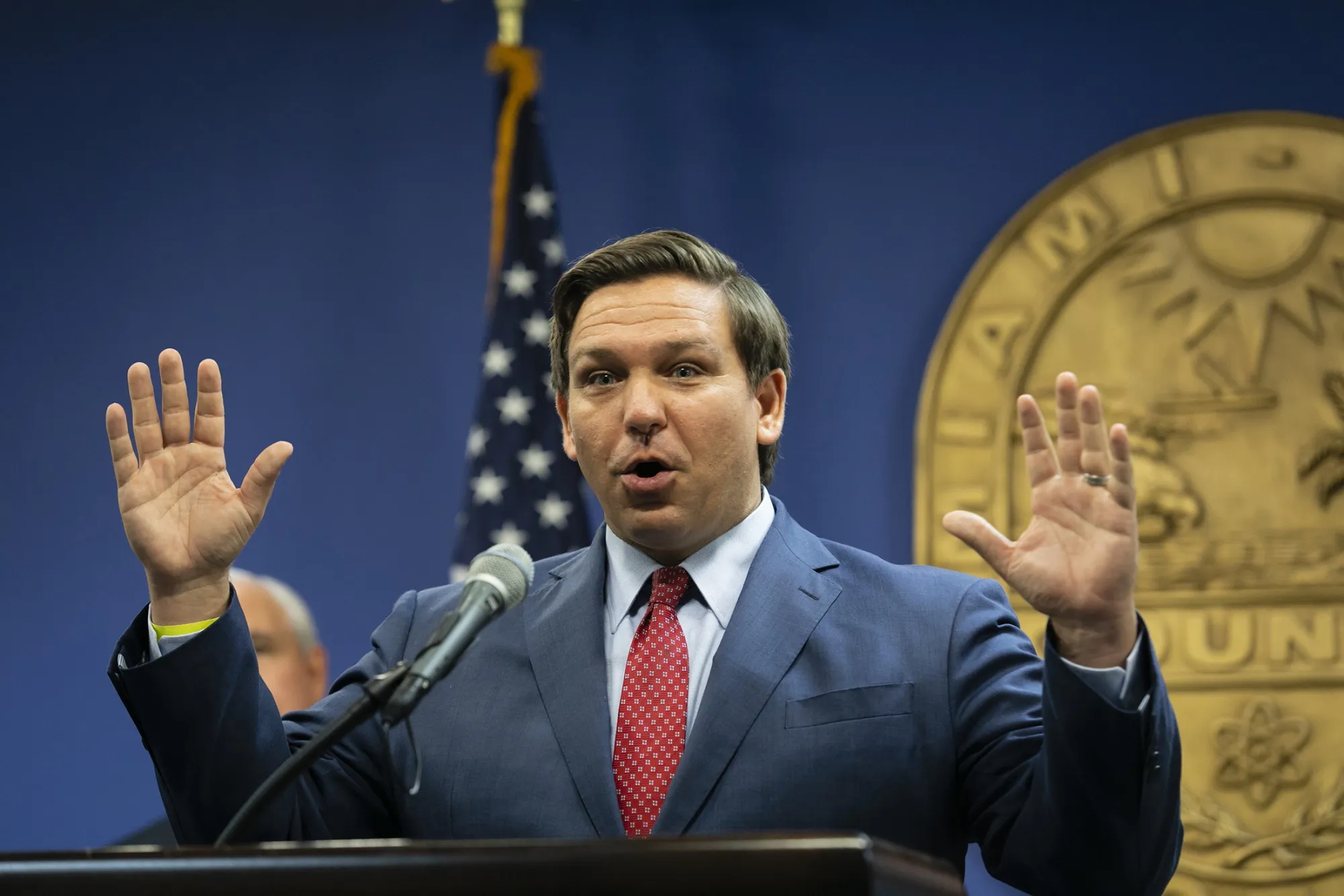 Ron DeSantis&nbsp;