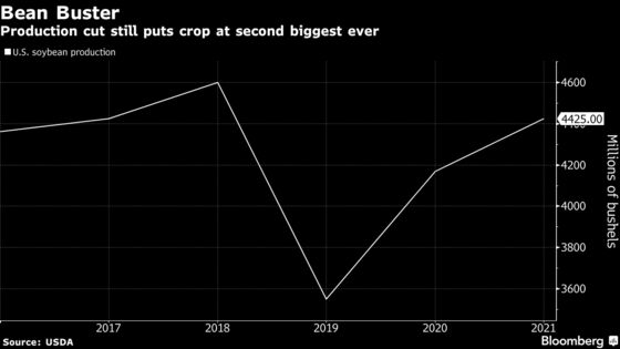 U.S. Soybean Crop Is Smaller Than Expected, Breaking Price Slump