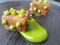 1466423231_VINES_FROG_LOVAGE