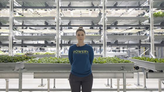 Vertical Farms Rush to Improve Kale Salad on a Path to Profitability