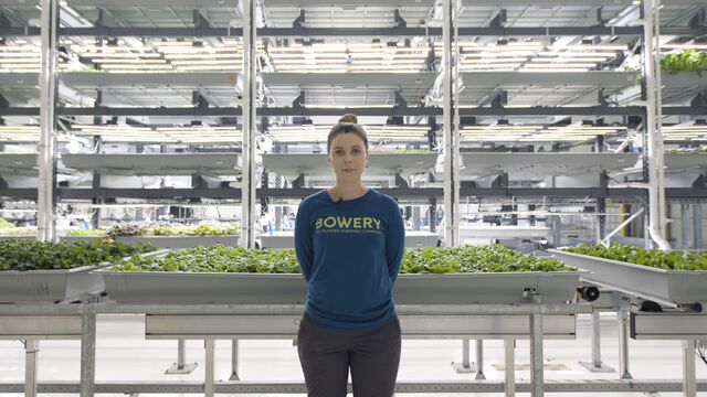 At This High-Tech Farm, the Boss Is an AI-Powered Algorithm - Bloomberg