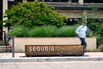 Sequoia Splits Into Three Firms Amid Geopolitical Tension