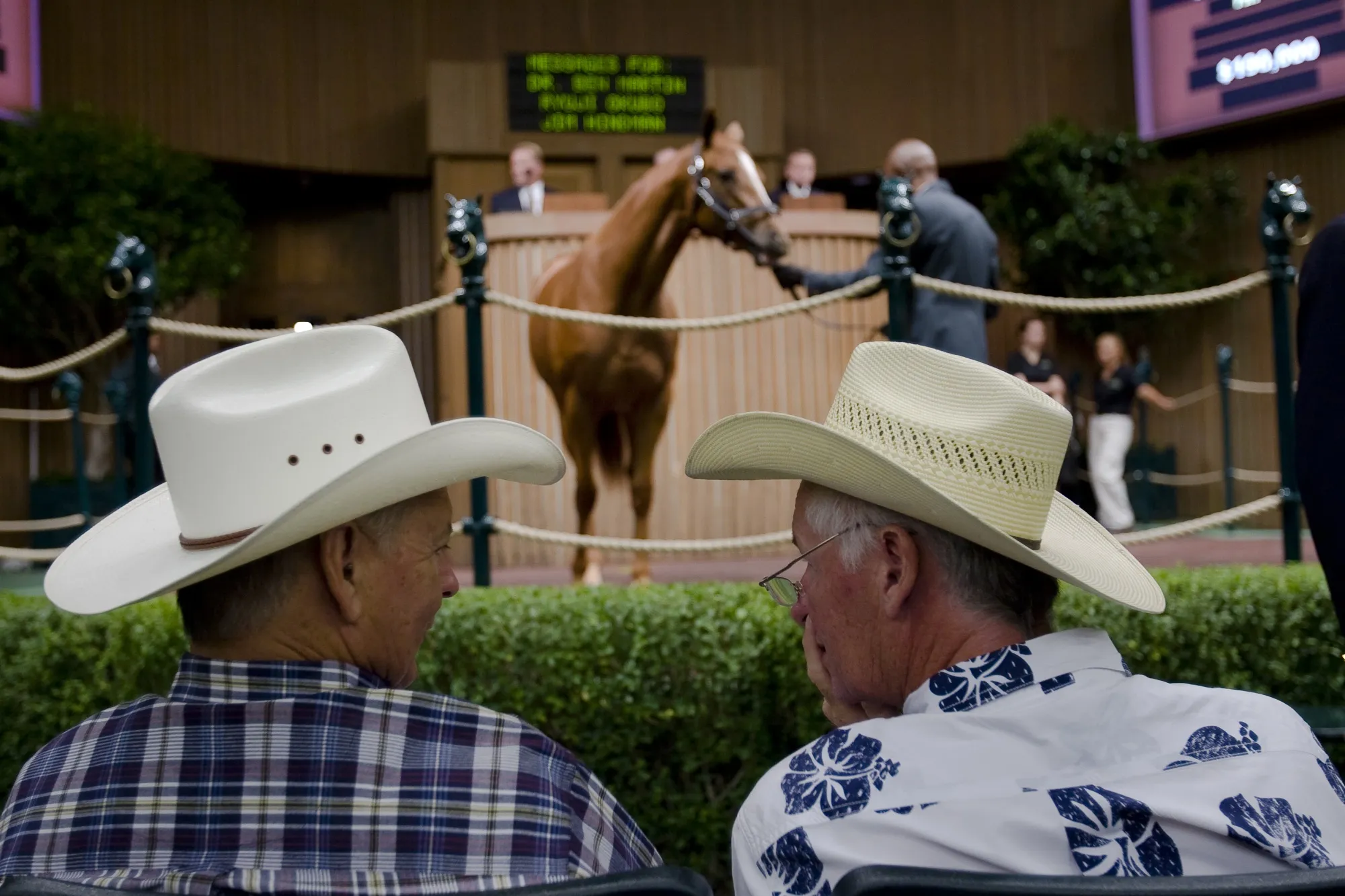 Is the solution to America’s government distrust&nbsp;in the heart of its horse country?&nbsp;(Photo by Daniel Acker/Bloomberg via Getty Images)