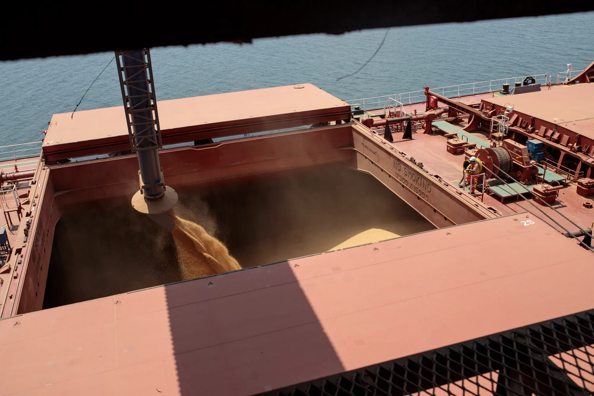 Soybeans are loaded into a bulk carrier vessel at the Port of Santos in Brazil.
