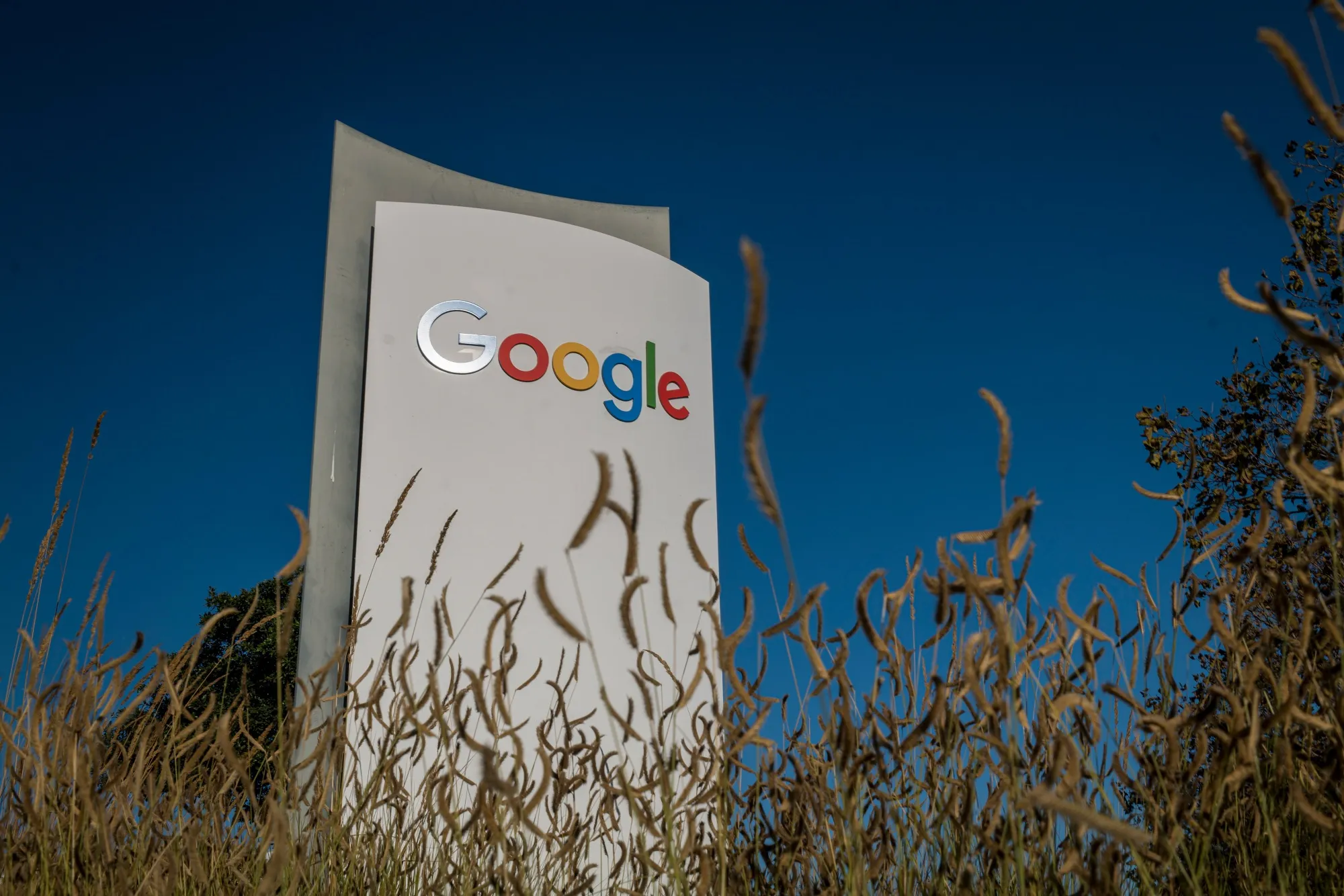 The Google campus in Mountain View, California.