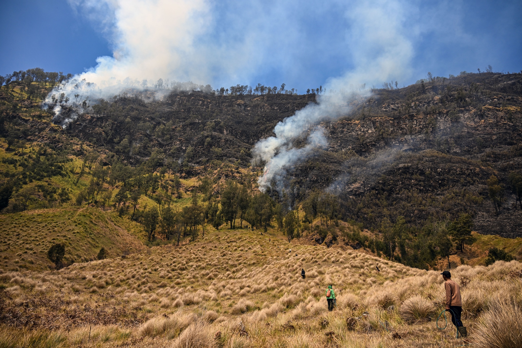 Image associated with story "Indonesia’s Forest Fires Surge as El Niño Raises Drought Risks"