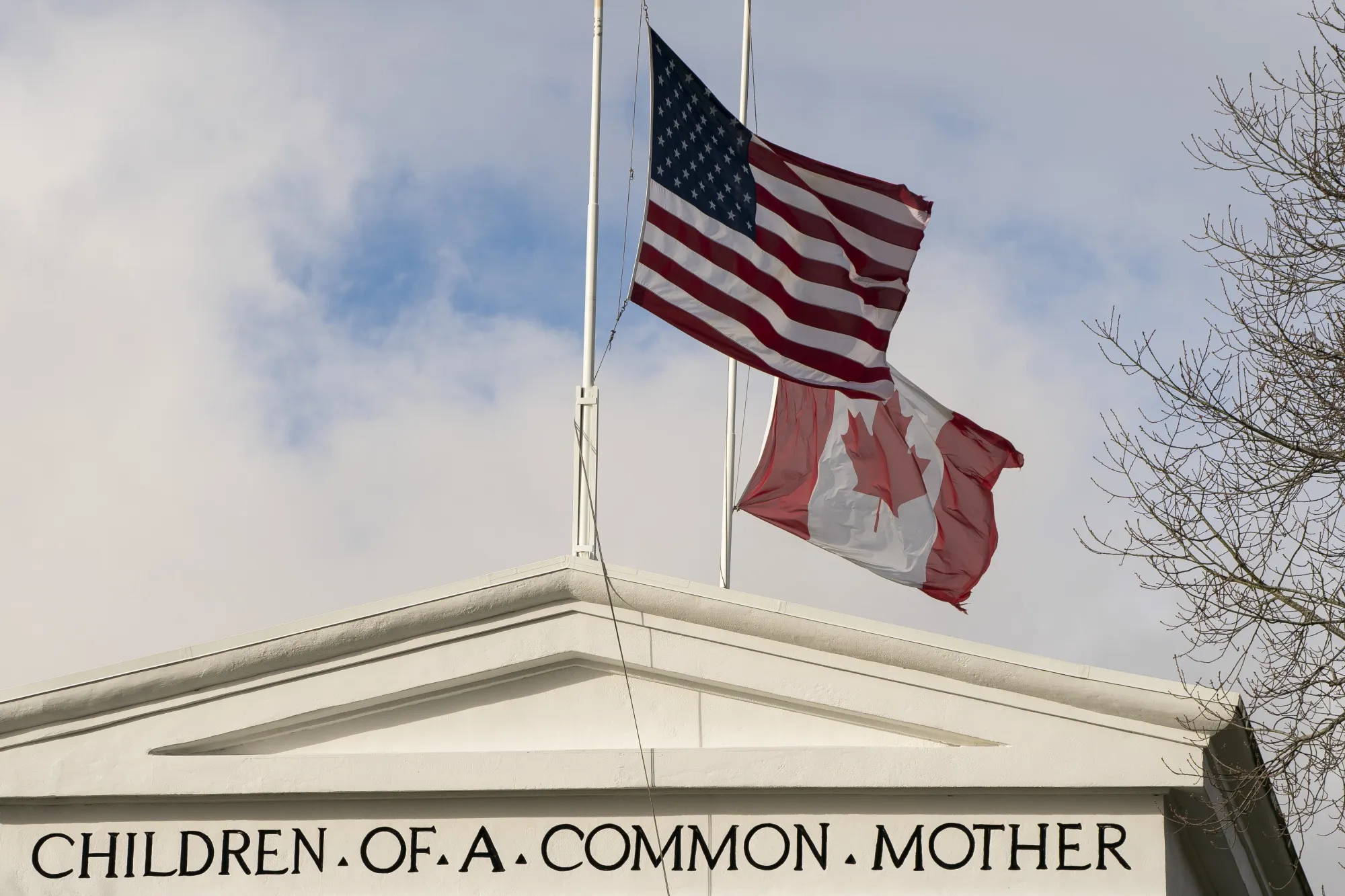 Siblings at half-mast.