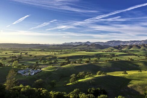 Quail H Ranch's 296 acres are ideal for horses, but have the terroir and water for Rhone grapes.