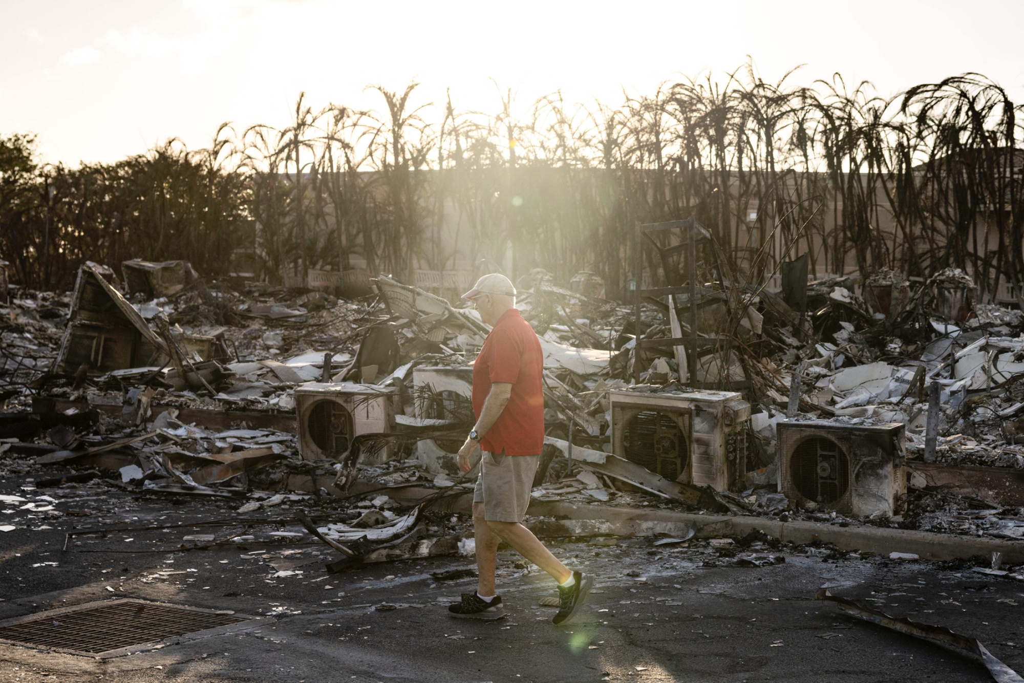 What Caused Maui Wildfire: Hawaii Power Lines Suspected To Have Started ...