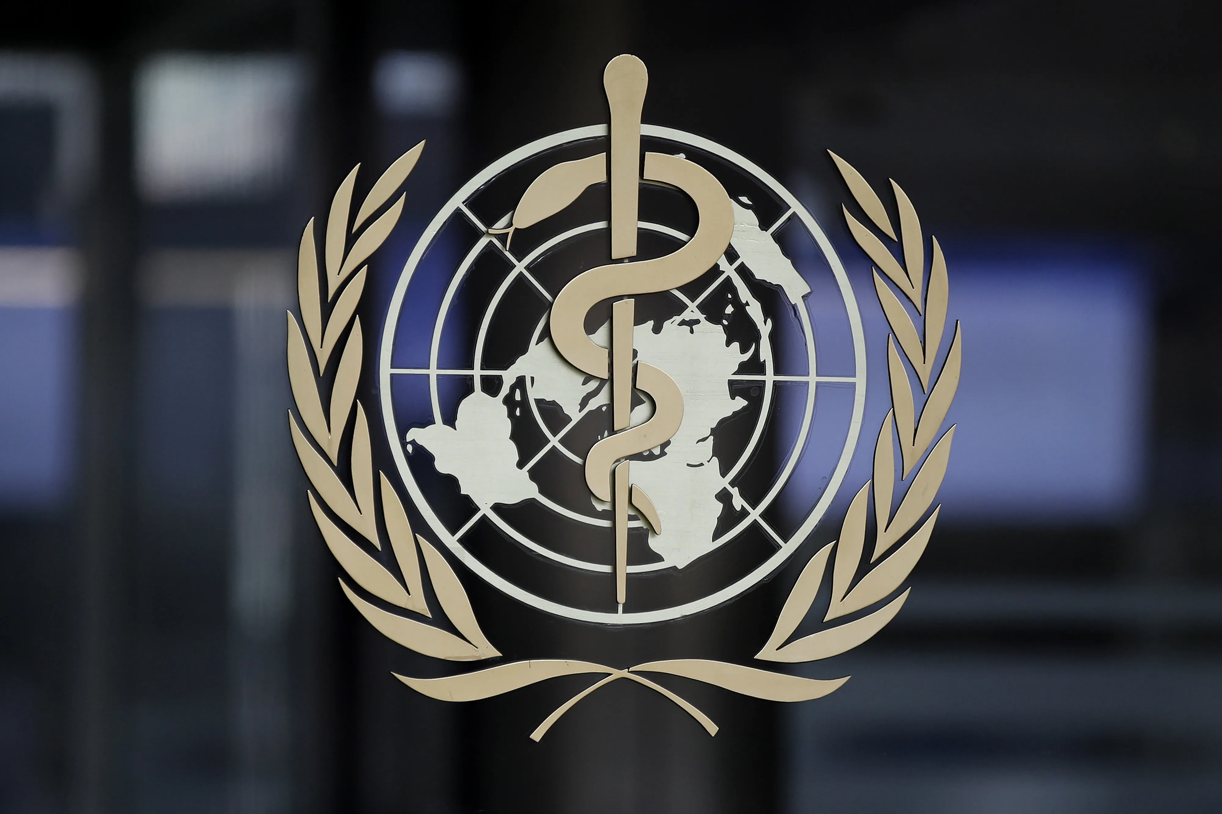 The World Health Organization plays a pivotal role in battling global health threats, focusing on infectious diseases as well as humanitarian crises and chronic health conditions.