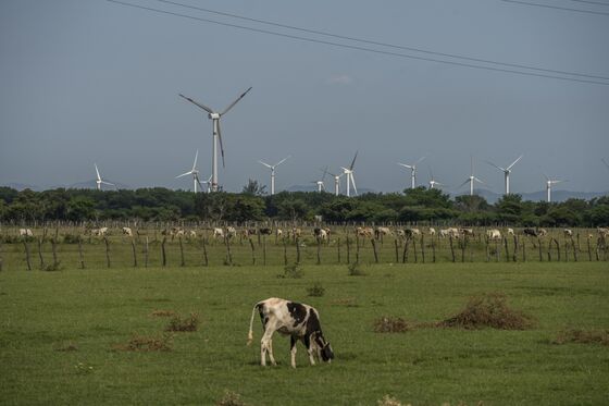 Wind Project Splinters a Mexico Region Prized for Powerful Gusts