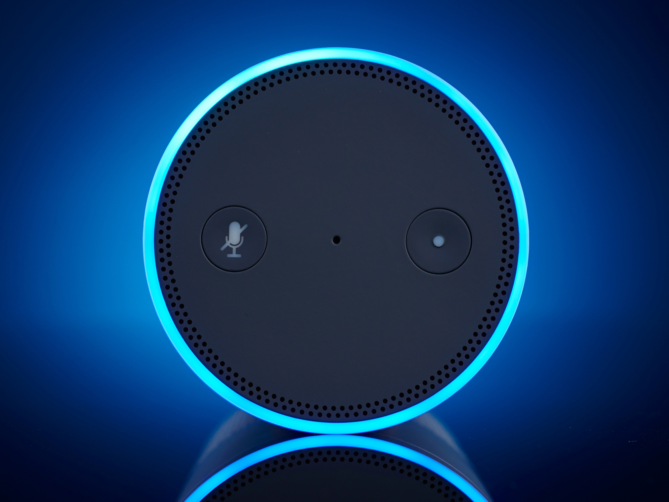 An Amazon Echo smart speaker.