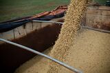 Brazil Struggles To Get Fertilizer Amid Russia Supply Woes