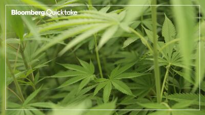 中国のＣＢＤ – Bloomberg