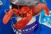 Even Lobsters Can’t Escape Trump’s Trade War