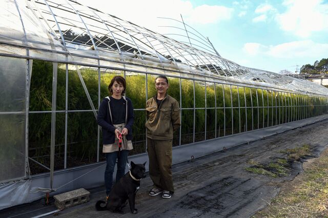 Kazuyoshi Nonaka, right and his wife Miyuki stand in fron of the Fence damaged by recent Typhoon at an Asparagus farm in  Iki Island in Nagasaki Prefecture, Japan on Thursday October 28, 2021.