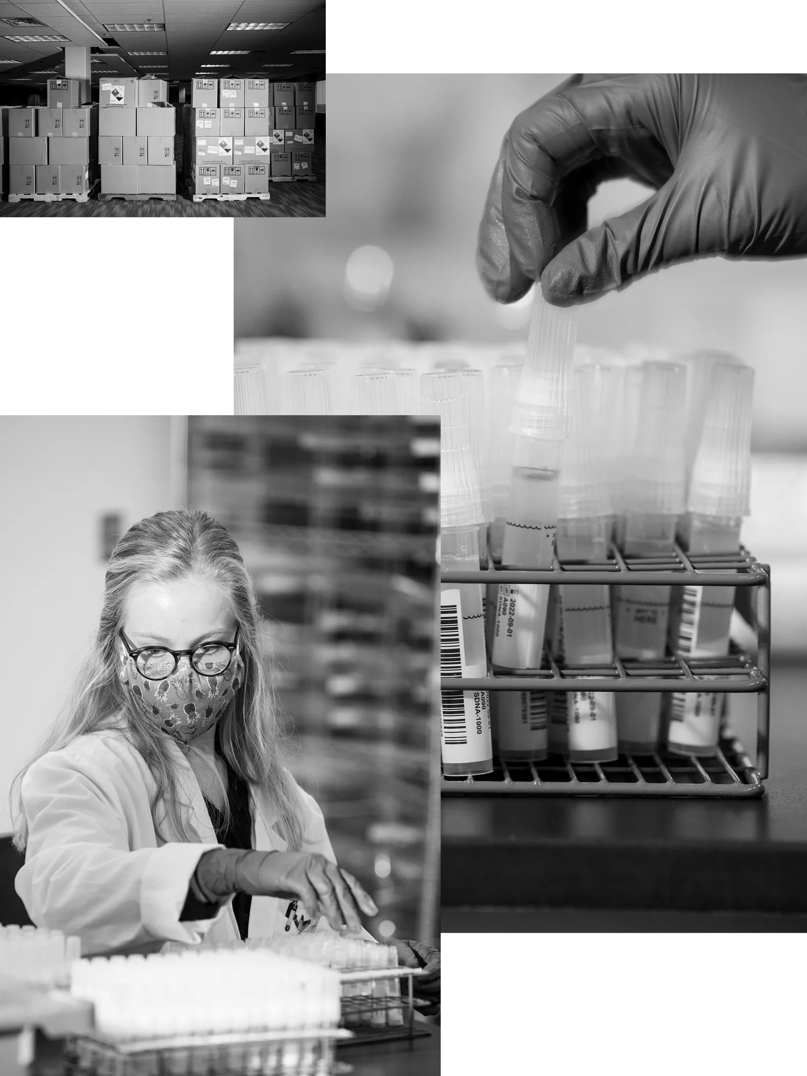 Saliva samples from across Minnesota are processed at the Infinity BiologiX facility in Oakdale.