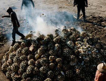 relates to Mezcal Popularity Could Mean Another Tequila Boom for Mexico