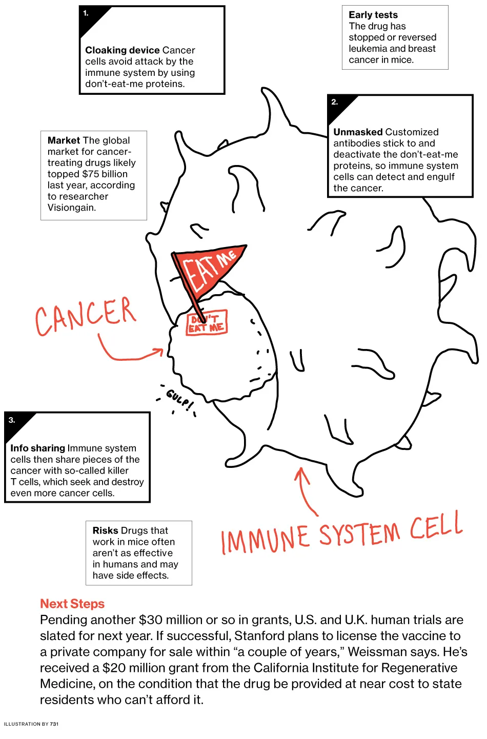 Innovation: Cancer Vaccine by Stanford's Irving Weissman