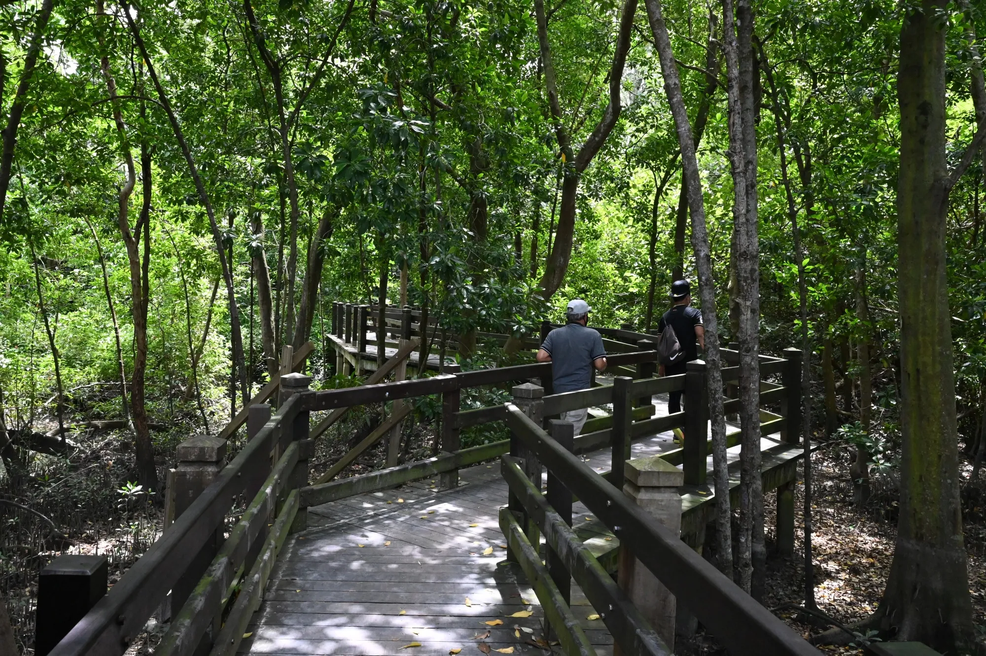 People walk along the boardwalk in Sungei Buloh Wetland Reserve.