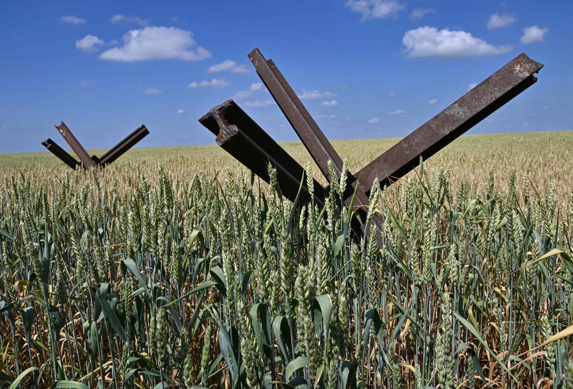 A complicated harvest.