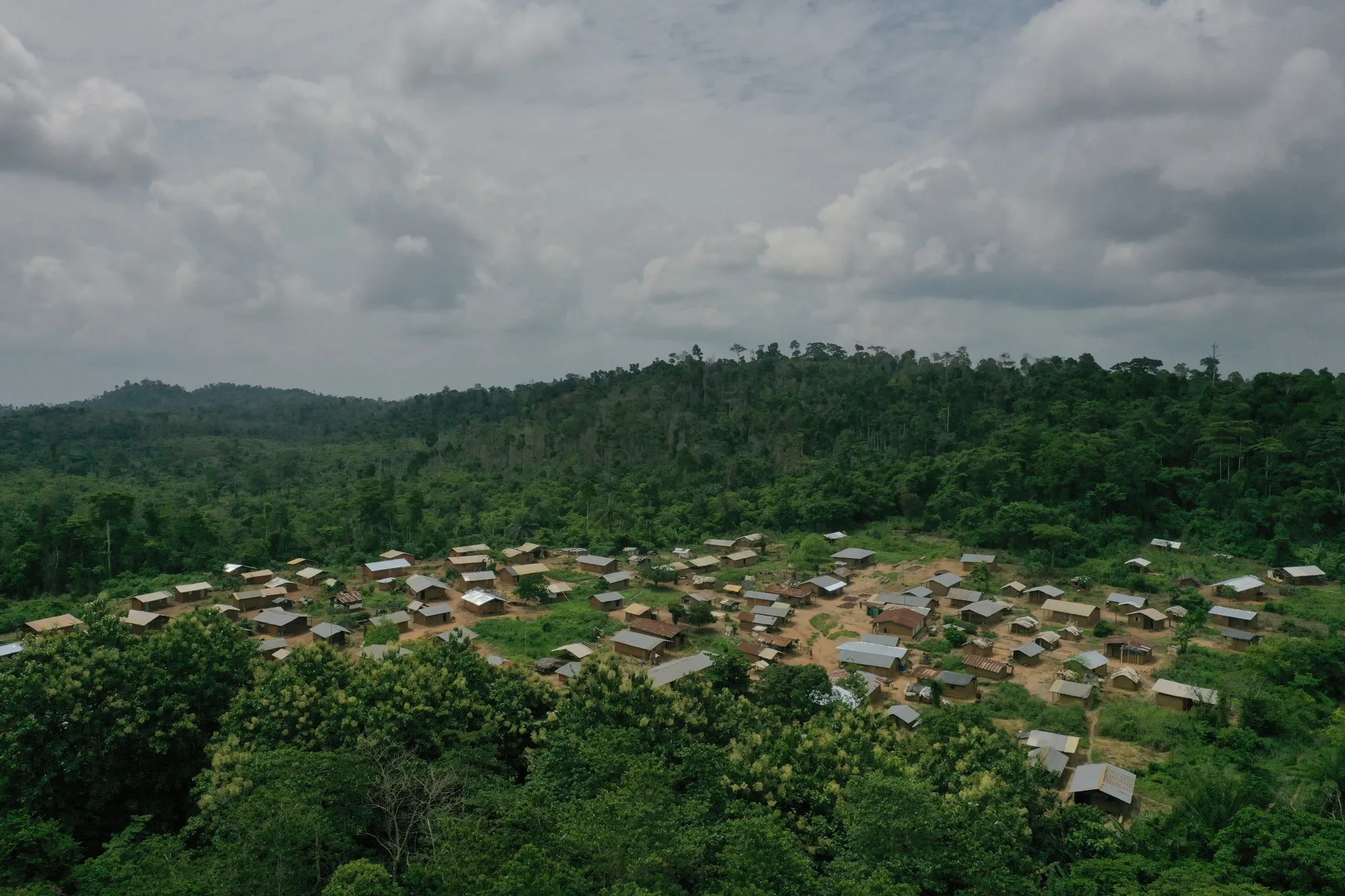 Nigeria has issued at least two previous green bonds as it seeks to increase forest cover.
