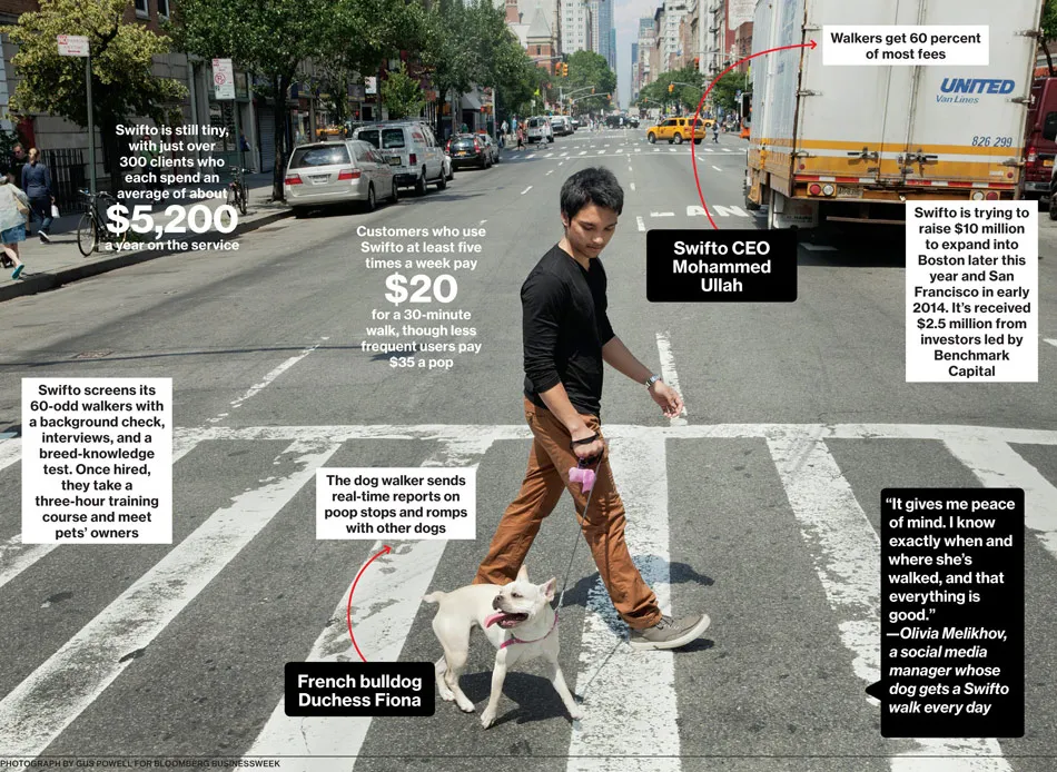 Swifto, a Dog-Walking Service With an App for Real-Time Updates