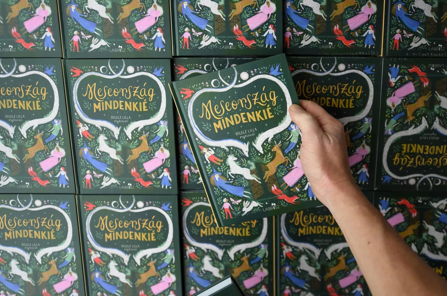 Copies of Wonderland is for Everyone at a bookstore&nbsp;near Budapest, Hungary.