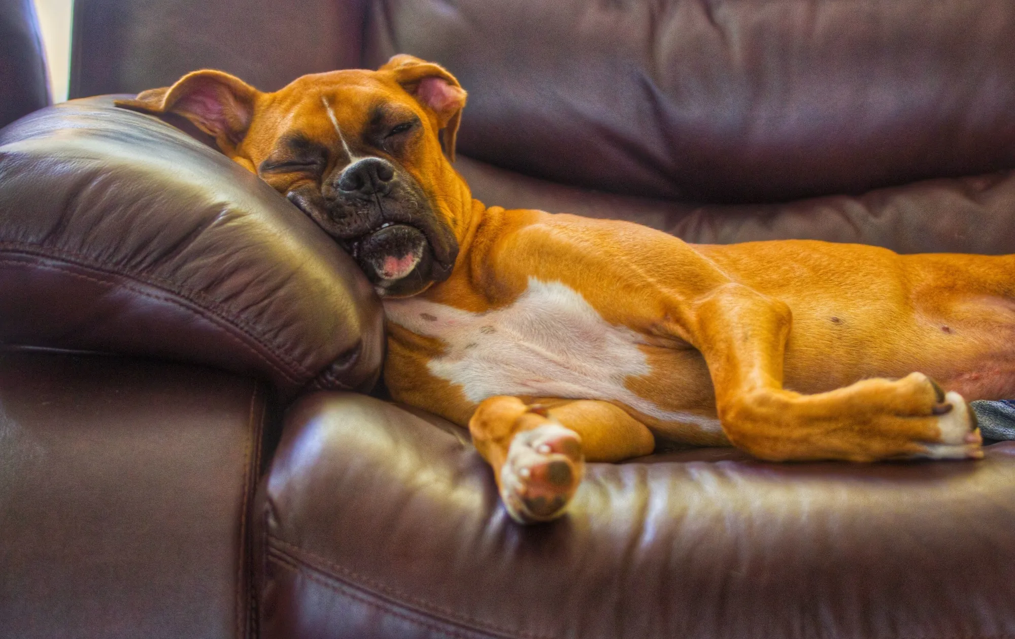 You may need stamina for this election night.
