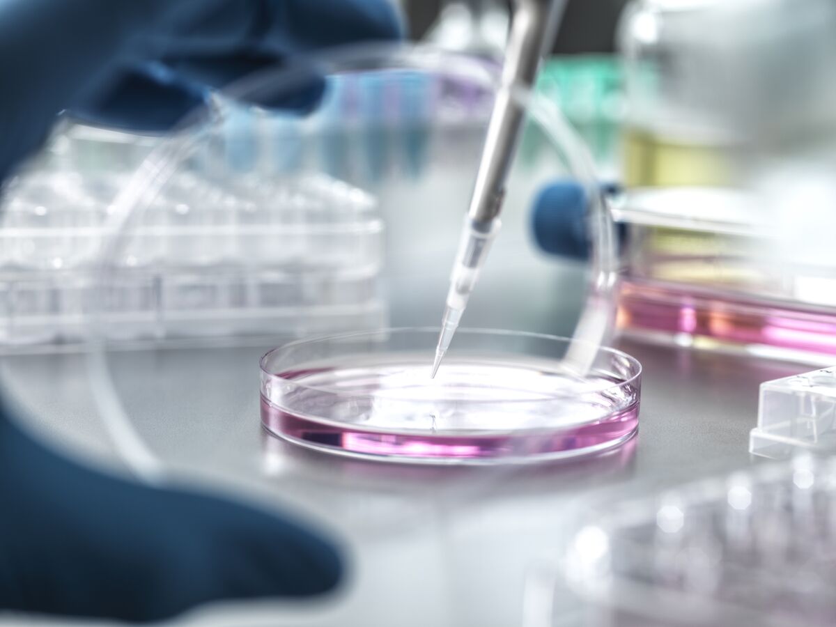 
                            SK Capital Is Said to Near Deal for Swiss Drug Distributor Swixx