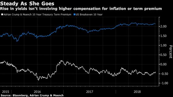 Bond Bears Popping Champagne Say U.S. Yields Have Room to Rise