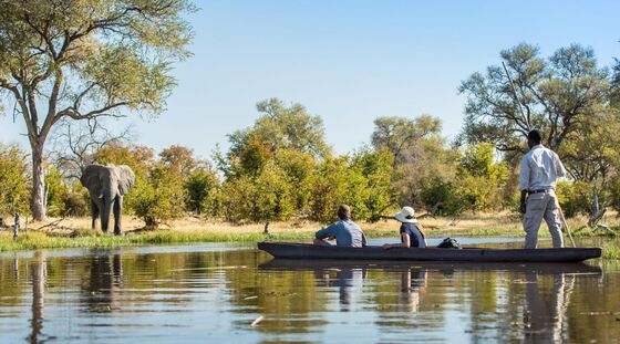 Post-Covid, Safari Companies Rethink Who Should Stay at Their Lodges