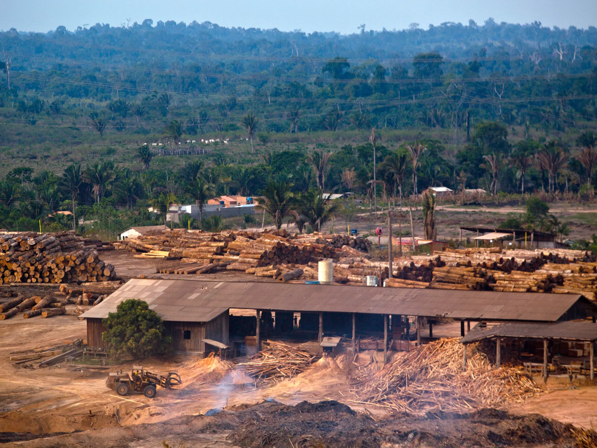 Timber is stacked in piles at a sawmill in Anapu, Brazil, on Dec. 18, 2014.

