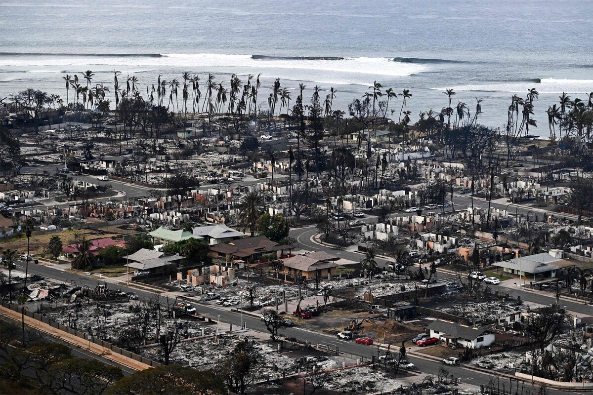 Maui Wildfires How Lahaina Flames Became So Destructive, So Fast