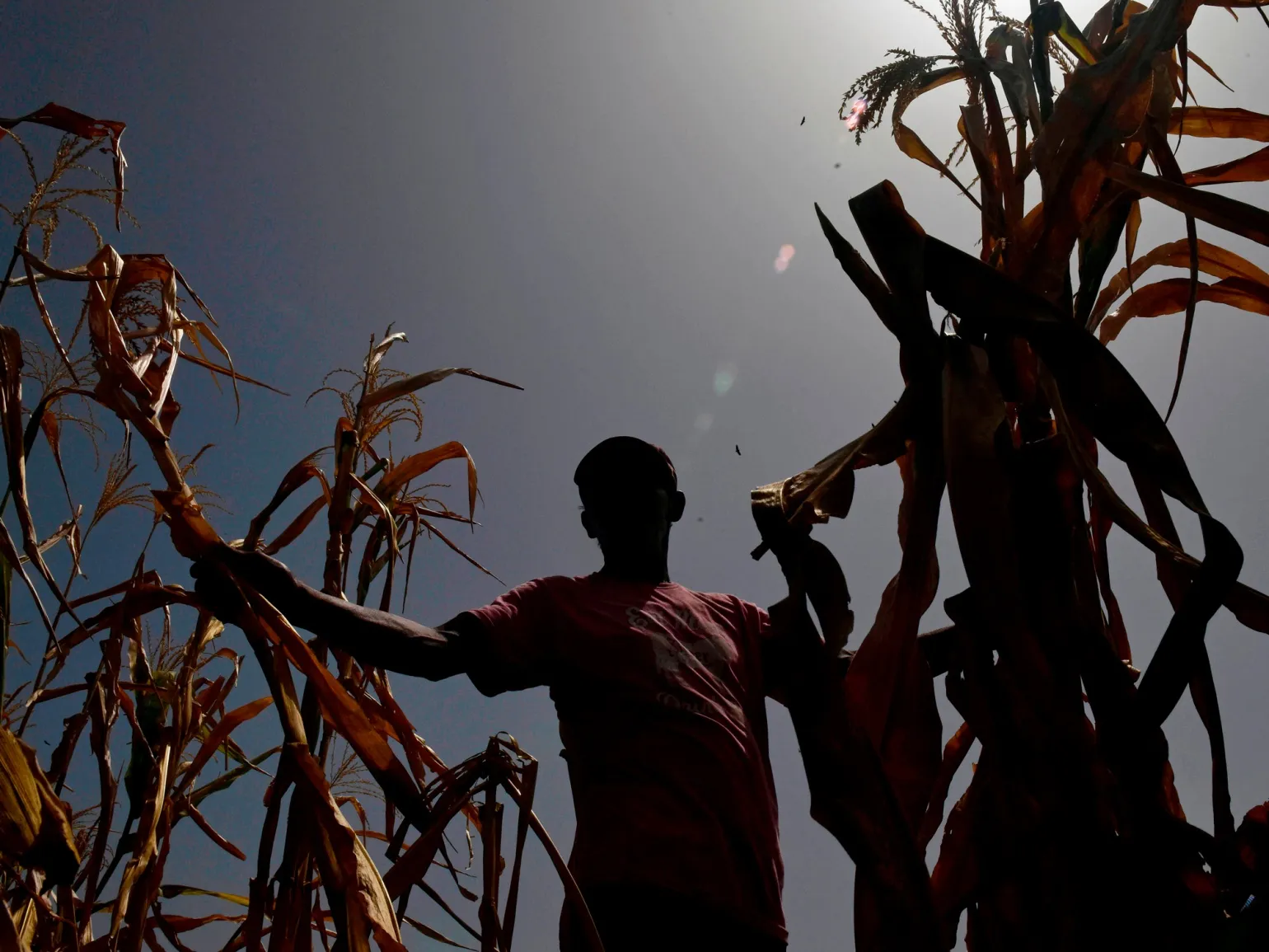 EL SALVADOR-DROUGTH-AGRICULTURE