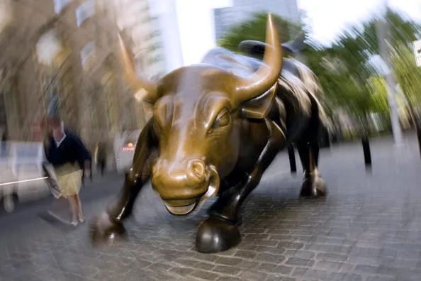 This bull market has baffled.&nbsp;