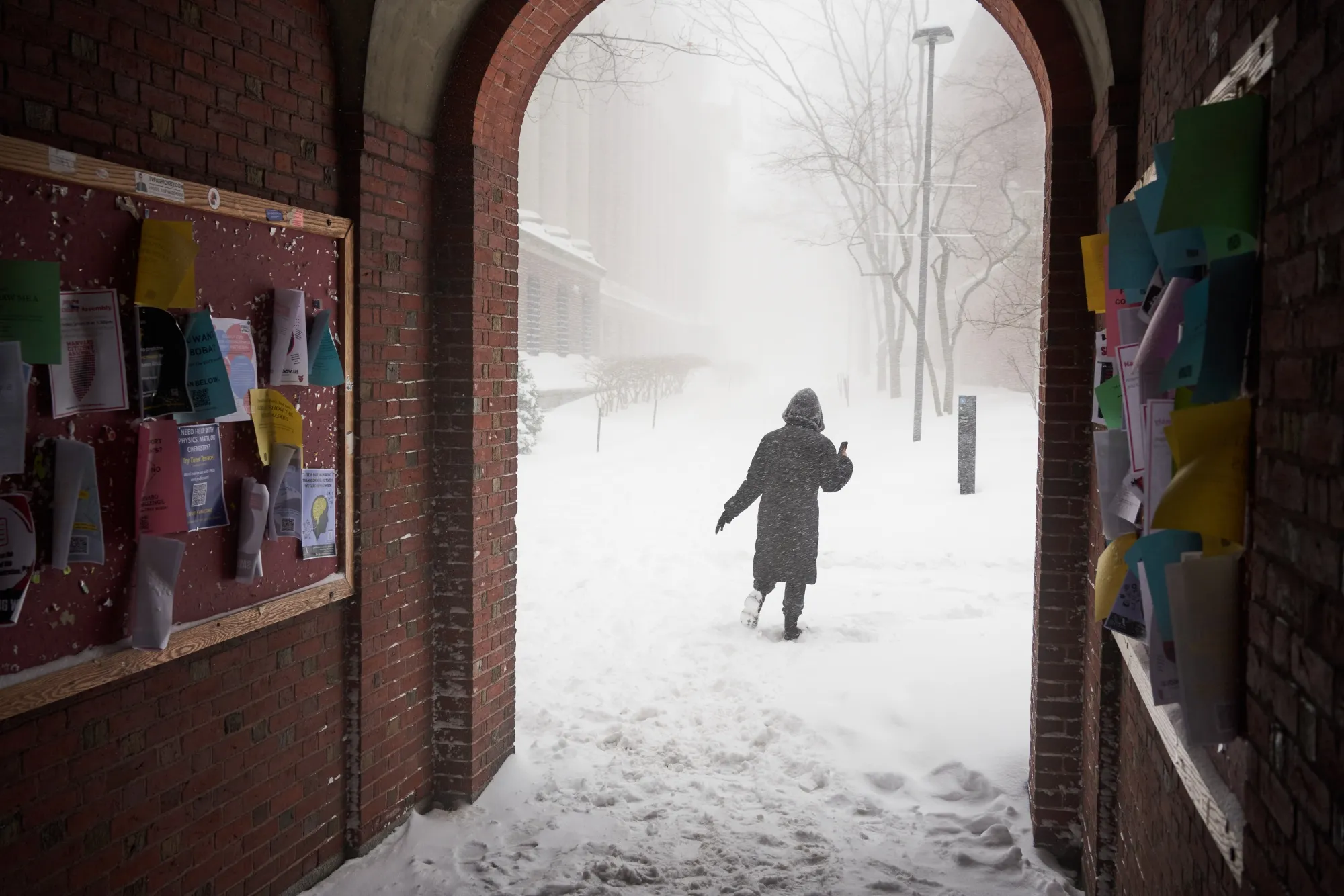 Harvard’s campus may soon look different.