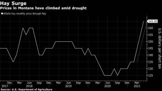 Drought Forces North America Farmers to Turn Food Crops to Hay
