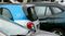 Car2Go Car Sharing Automobiles As Daimler AG Reviews Management Model