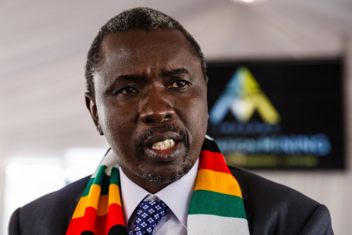 Zimbabwe’s President Appoints US-Sanctioned Tycoon to Senate